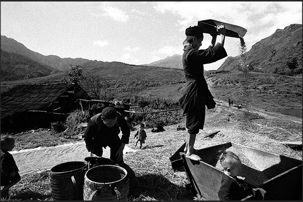 Sa Pa village, central highlands. A family Himong cleans the rice during drying Sa Pa village, central highlands. A family Himong cleans the rice during drying