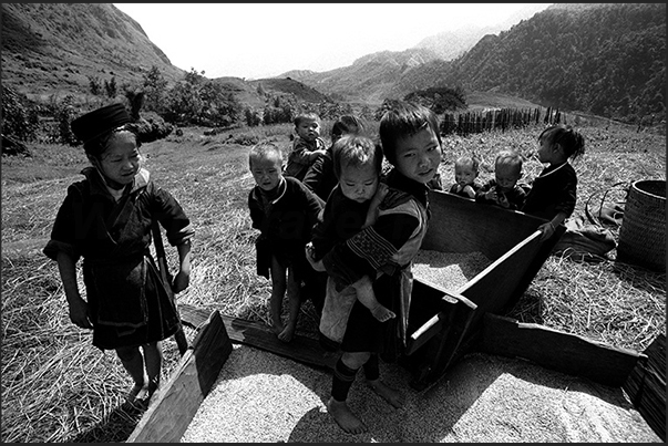 Sa Pa village, central highlands. A group of women Himong with their children during the cleaning of rice