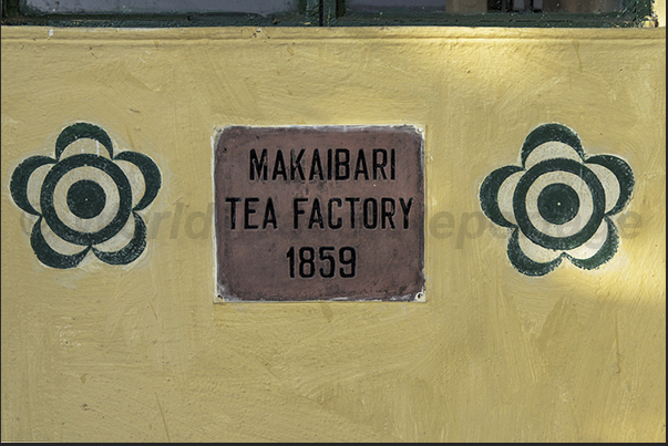 Makaibari (Banerjee family) was the first mechanized farm to processing the tea in the world.The Logo is a Camelia Sinensis