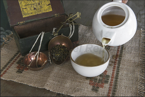 The balance used to dose the tea leaves into the infusion cup for tasting The balance used to dose the tea leaves into the infusion cup for tasting