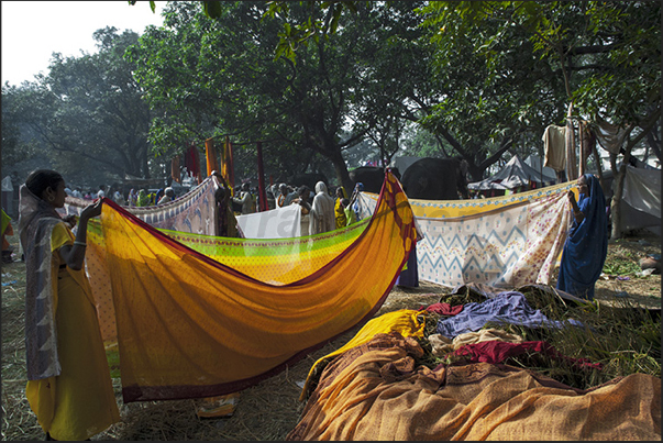 In the morning sun, women dry their Sari (sheeting used as clothing) In the morning sun, women dry their Sari (sheeting used as clothing)