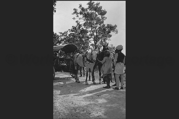 India. On the road to the Jain Delwara temples close to Mount Abu