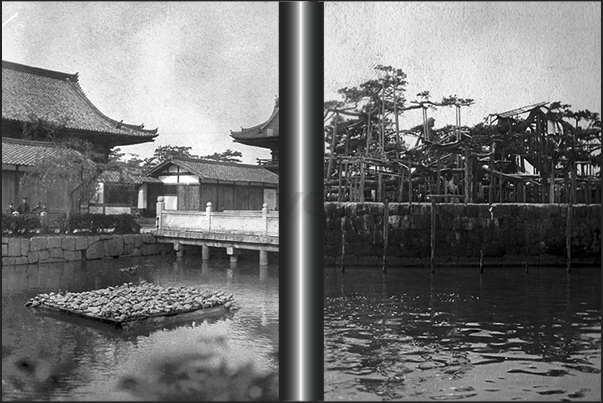 Japan. Kyoto. Turtles in a temple (left) and the Lake Biwa with ancient trees