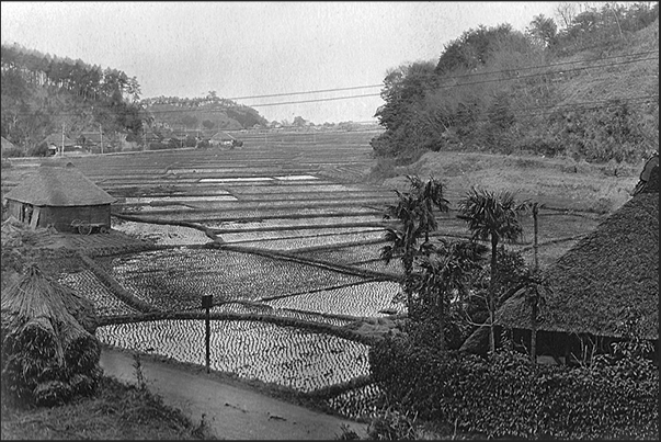 Japan. Paddy filelds along the road to Yokohama