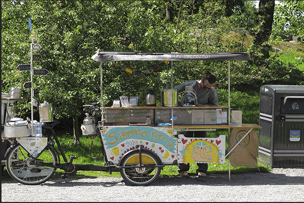 Ice cream and fruit smoothies in Sibelius Park