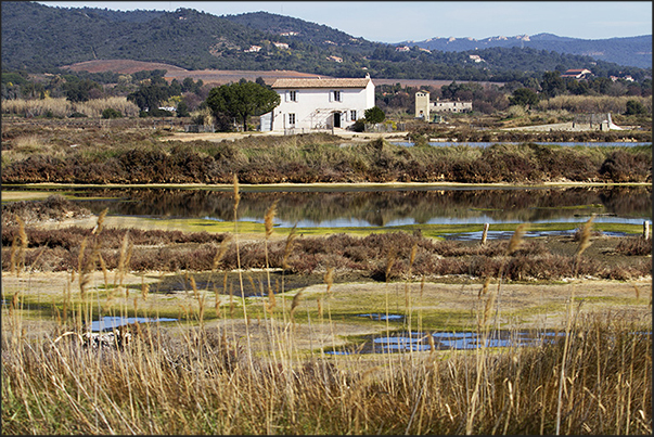 Pond of Anglais between Hyeres and the beach