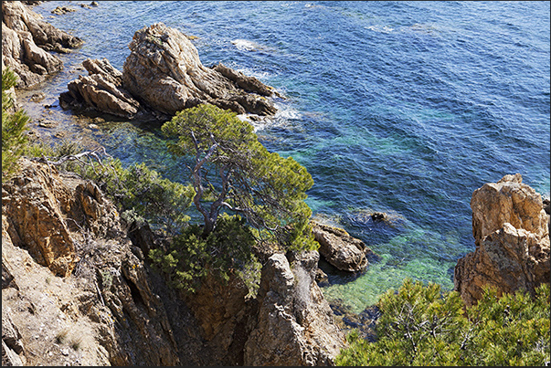 Before Brégançon Bay, the trail rises on the rocky cliffs