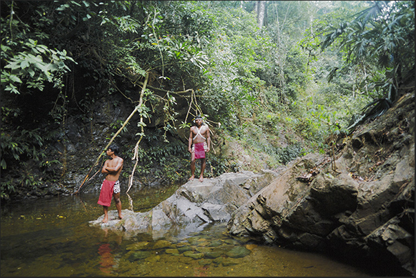 Indios Embera in the Forests of Lake Gatun