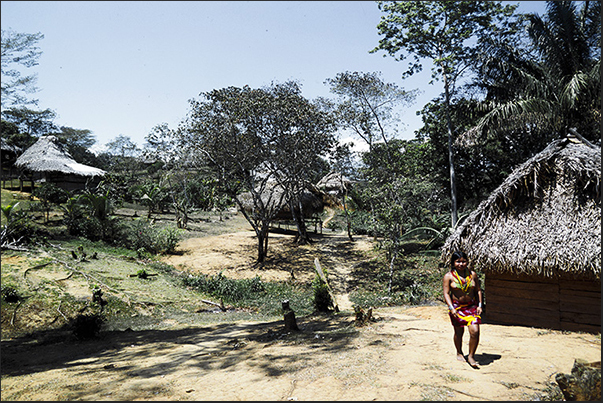 Village Indios Embera in the Forests of Gatun Lake