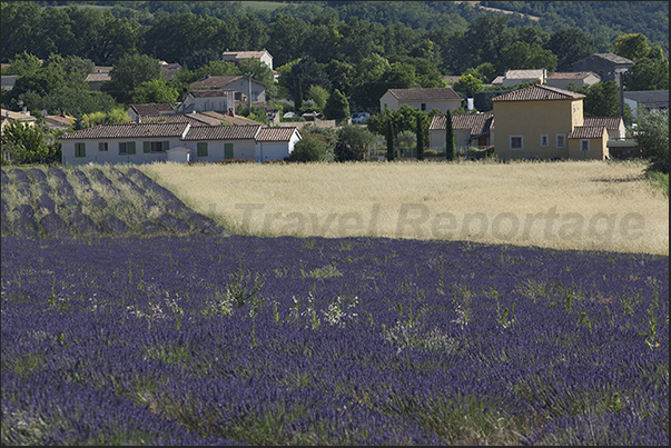 Not only the lavender fields offer suggestive landscapes