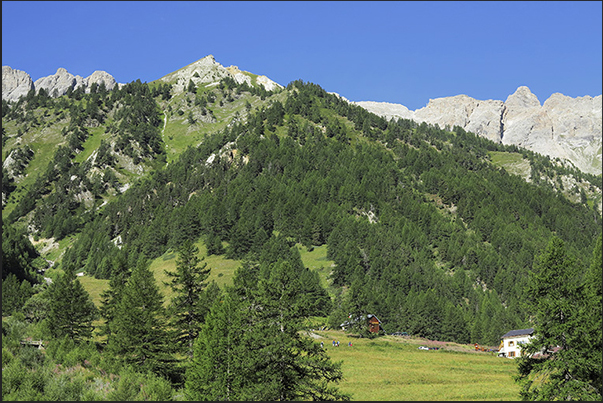 Alpine refuges at 1780 m altitude