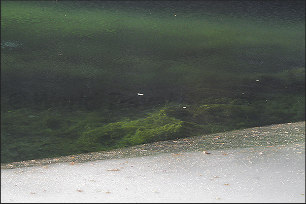 Laux Lake. Ice covers part of the lake