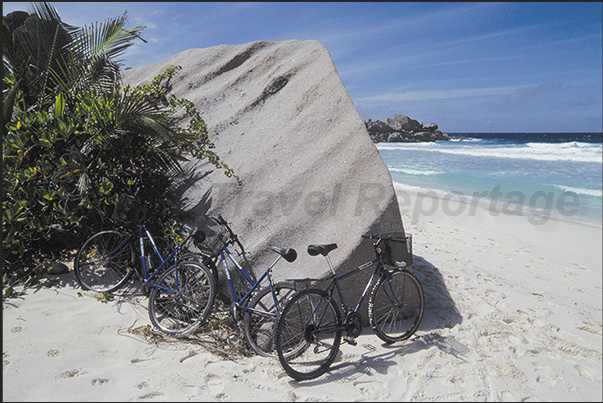 The bicycles used by tourists are always parked near the most beautiful beaches