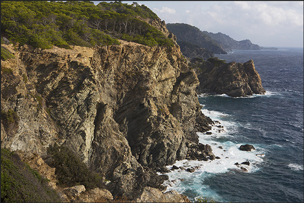 Cliffs of the south coast towards the Calanque de l'Indienne