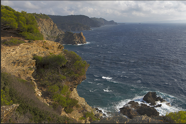 Cliffs of the south coast towards the Calanque de l'Indienne