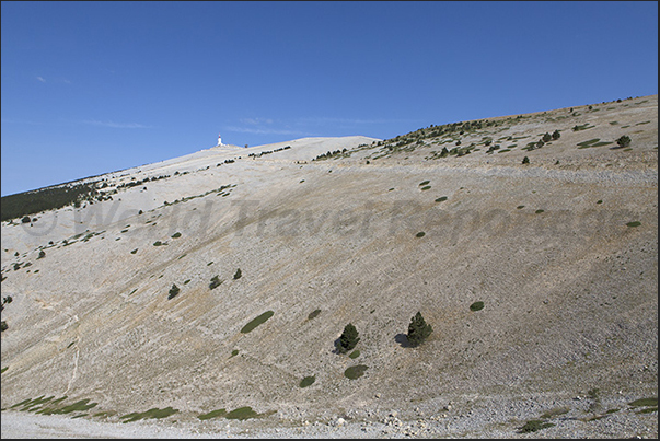 The south side of Mount Ventoux. The road that goes up through an huge sun-drenched stone The south side of Mount Ventoux. The road that goes up through an huge sun-drenched stone