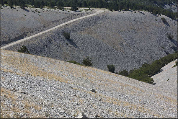 Due to the strong wind, the trees cannot grow on the stony ground Due to the strong wind, the trees cannot grow on the stony ground