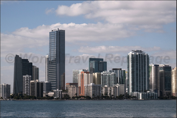 The skyline of Miami The skyline of Miami