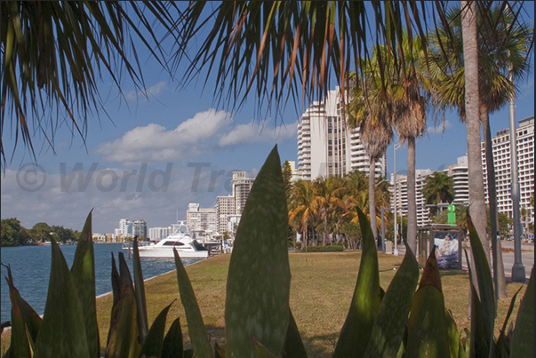 The lagoon of Miami Beach. One of the most famous district of the great city of Miami