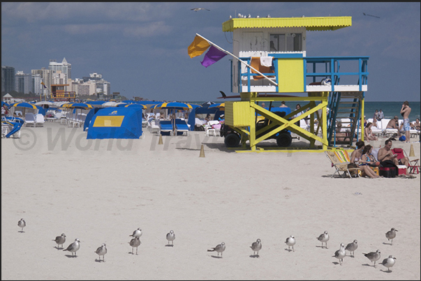 Miami Beach. One of the many control points and rescue present on the beach Miami Beach. One of the many control points and rescue present on the beach