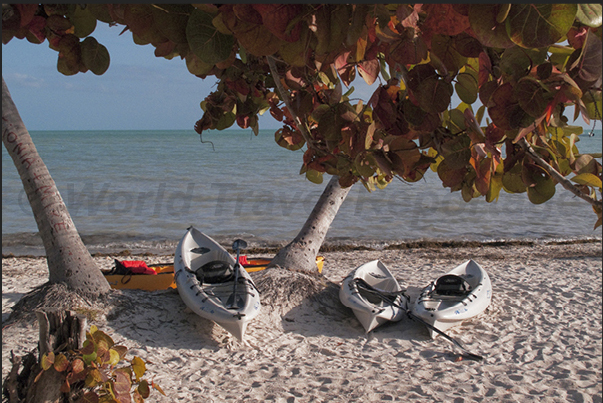 One of the many beaches of the Keys Islands frequented mainly by the inhabitants of Miami over the weekend