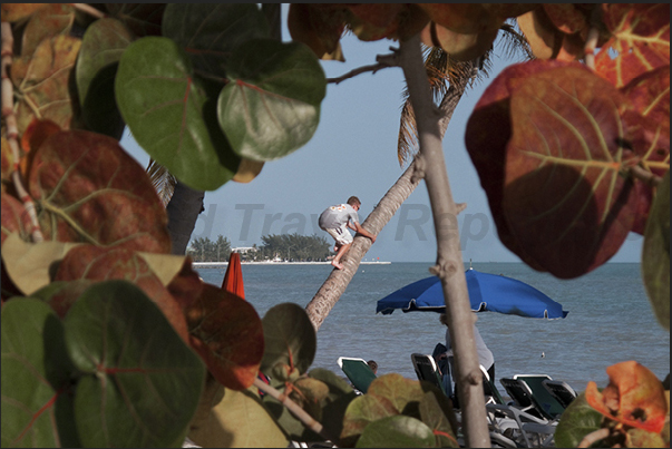 One of the many beaches of the Keys Islands frequented mainly by the inhabitants of Miami over the weekend