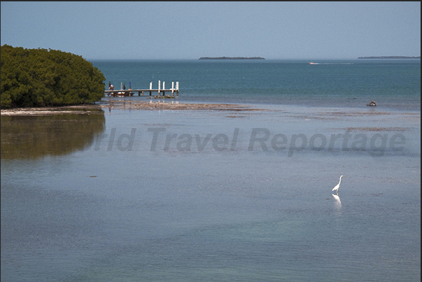 Keys Islands.The southern tip of United States. An archipelago that separates the Atlantic Ocean from Gulf of Mexico