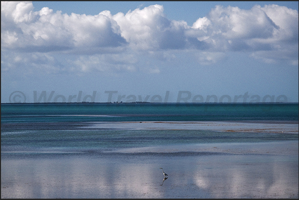Keys Islands.The southern tip of United States. An archipelago that separates the Atlantic Ocean from Gulf of Mexico Keys Islands.The southern tip of United States. An archipelago that separates the Atlantic Ocean from Gulf of Mexico