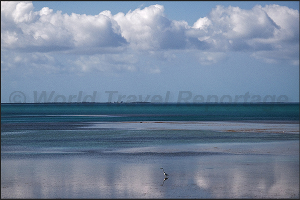 Keys Islands.The southern tip of United States. An archipelago that separates the Atlantic Ocean from Gulf of Mexico