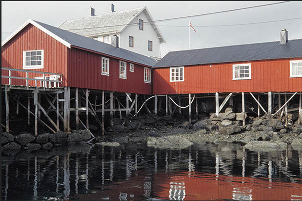 Rorbu, typical fishermen's houses with the outbuildings for fish processing