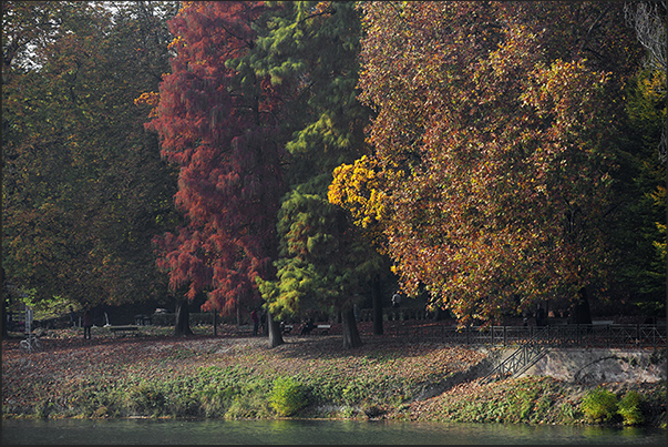 Autumn colors on the banks of Valentino Park