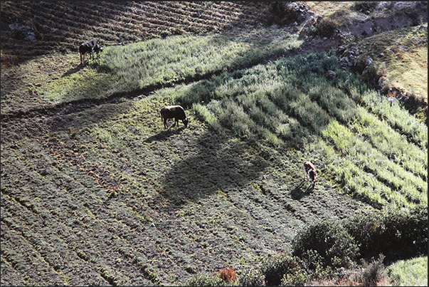 Chinchero plateau between Cuzco and the Urubamba river valley