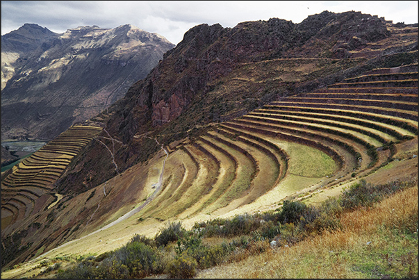 Terrace crops from the Inca period above the Pisac village Terrace crops from the Inca period above the Pisac village