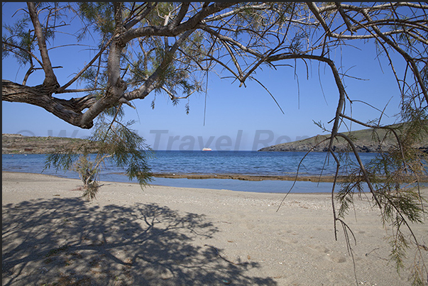 Platis Gialos bay, the beach Platis Gialos bay, the beach