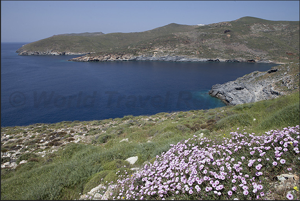 West Coast. Avessalos Bay