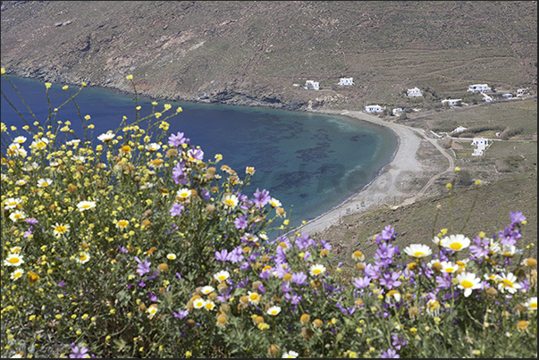 West Coast. The bay and beach of Avessalos