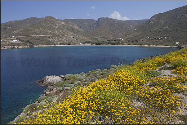 South coast. Koutala Bay in bloom