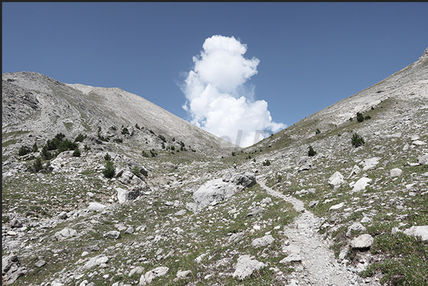 Start of the climb to the Orso Pass (2,481 m) Start of the climb to the Orso Pass (2,481 m)