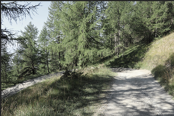 Dirt road from the Vazon hamlet at an altitude of 1,650 m towards the Cotolivier church Dirt road from the Vazon hamlet at an altitude of 1,650 m towards the Cotolivier church