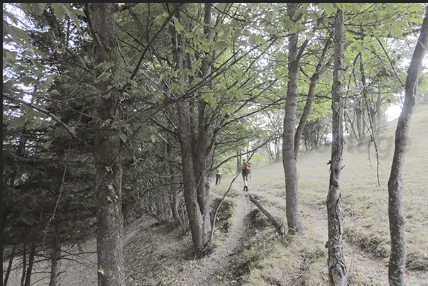 Path towards the Vazon hamlet (altitude 1,650 m) Path towards the Vazon hamlet (altitude 1,650 m)