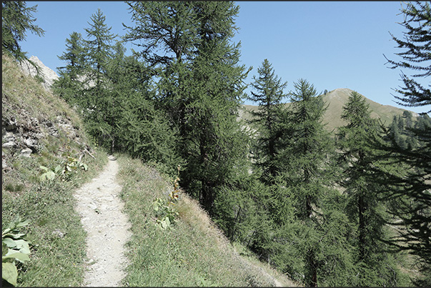 At the end of the dirt road begins the path that leads to the Desertes pass At the end of the dirt road begins the path that leads to the Desertes pass
