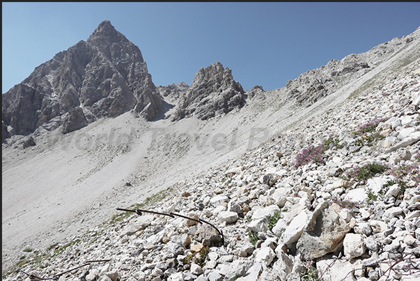 Climbing towards the Desertes Pass. Remains of barbed wire and defenses used in the last war Climbing towards the Desertes Pass. Remains of barbed wire and defenses used in the last war