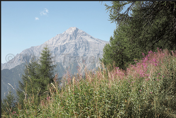 Mount Chaberton with the fort destroyed during the Second World War Mount Chaberton with the fort destroyed during the Second World War