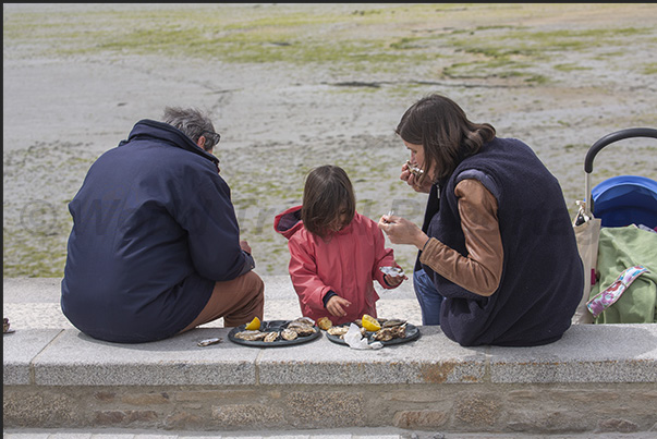 Cancale port, tastings of freshly harvested oysters