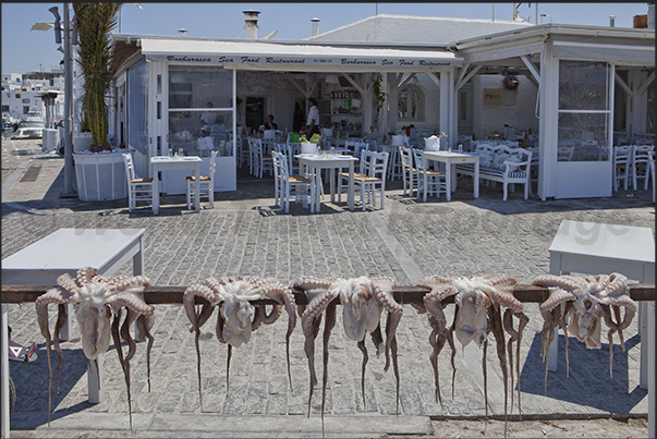 Views of the Naoussa seafront with restaurants in the fishing port area