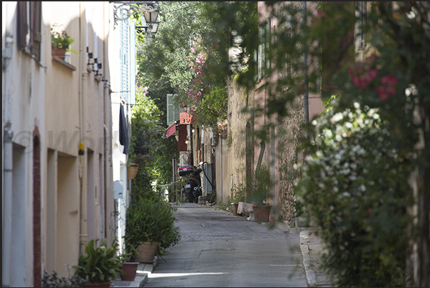 All the streets in the old town are decorated with plants and flowers along the street and on the walls of the houses