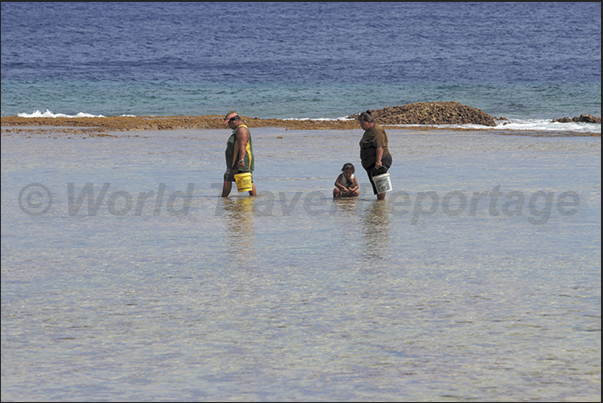 The women of the villages meet on the coral platform to collect crustaceans and shellfish