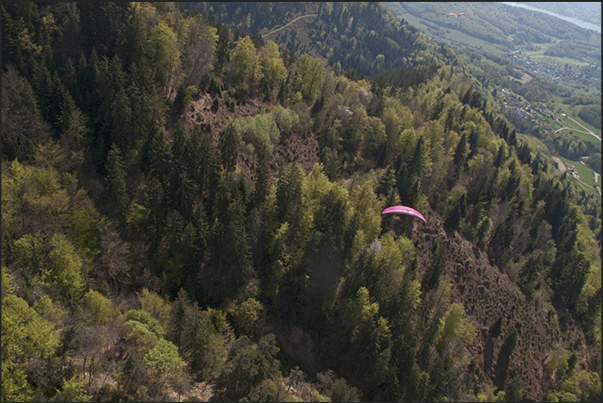 Paragliders on the forest of the Col de la Forclaz