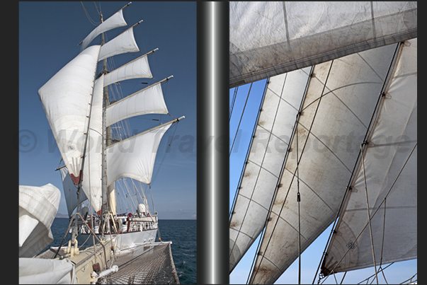 Fore sails on the fore mast and the jibs tensioned on the bow