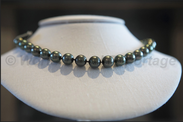 Necklace of pearls, produced in the archipelago, exposed in the jewelers of Avarua